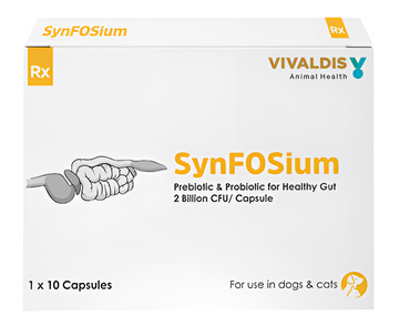 Vivaldis SynFOSium Pre & Probiotic Capsules for Dogs & Cats